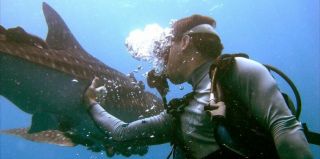 professional diving courses tijuana Baja Diving & Watersports, LLC.