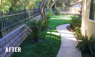 installation of artificial grass tijuana Artificial Grass Distributors