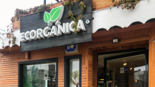 vegan supermarkets tijuana Ecorganica