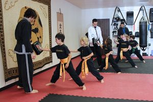 tai chi lessons tijuana 5 Elements Martial Arts & Wellness Center