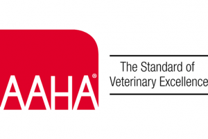 veterinary medicine and zootechnics courses tijuana Otay Pet Vets