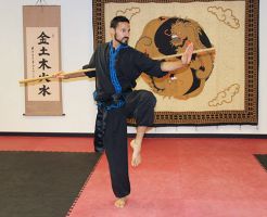 tai chi lessons tijuana 5 Elements Martial Arts & Wellness Center